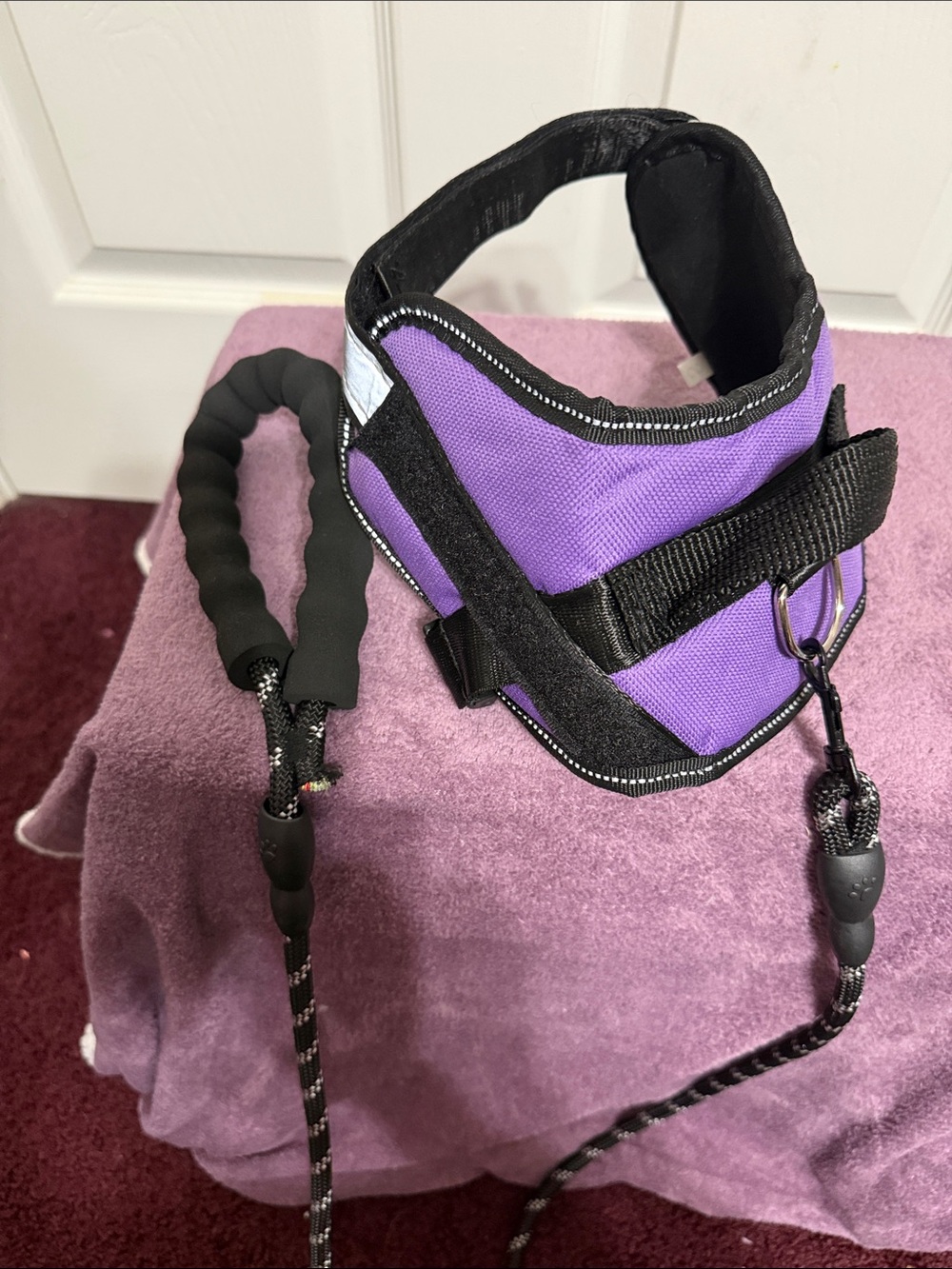 Source Unknown Purple & Black Dog Harness with Bungee Leash
